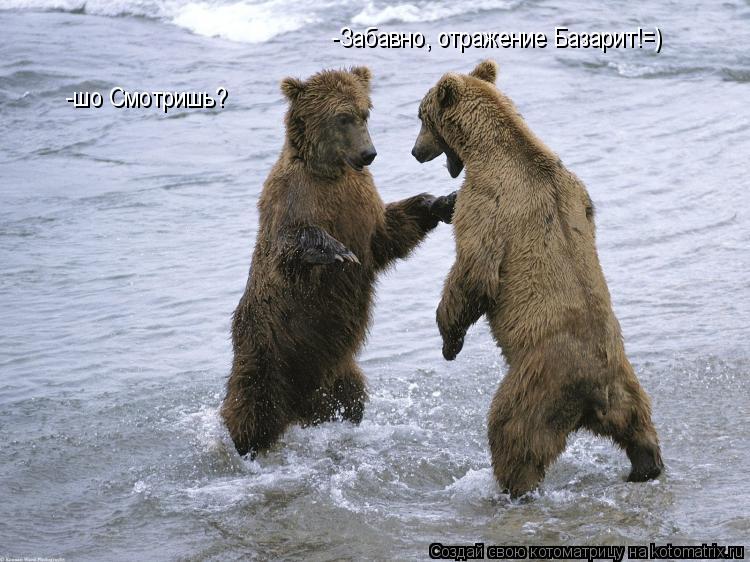 -шо Смотришь? -Забавно, отражение Базарит!=)... Котоматрица: -шо Смотришь? -Забавно, отражение Базарит!=)