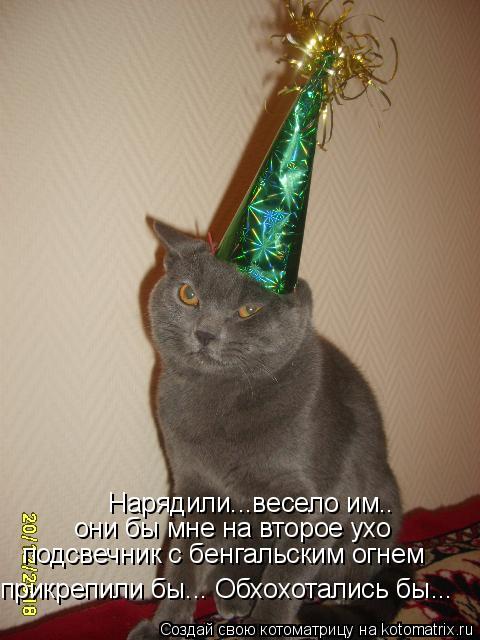 Нарядили...весело им.. они бы мне на второе ухо подсвечник с бенгальским огнем прикрепили бы... Обхох... Котоматрица: Нарядили...весело им.. они бы мне на второе ухо подсвечник с бенгальским огнем прикрепили бы... Обхохотались бы...
