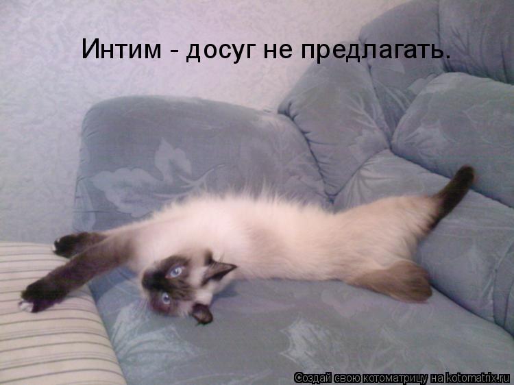 Интим - досуг не предлагать.... Котоматрица: Интим - досуг не предлагать.