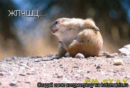 ЖПЧШЦ...... Котоматрица: ЖПЧШЦ...
