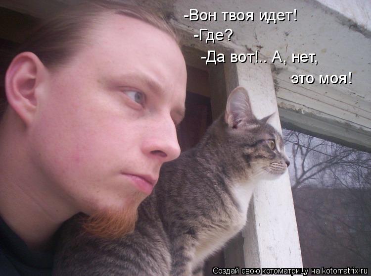 -Вон твоя идет! -Где? -Да вот!.. А, нет, это моя!... Котоматрица: -Вон твоя идет! -Где? -Да вот!.. А, нет, это моя!