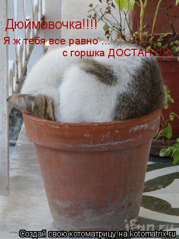 Котоматрица: Дюймовочка!!!! Я ж тебя все равно ... с горшка ДОСТАНУ!!!!