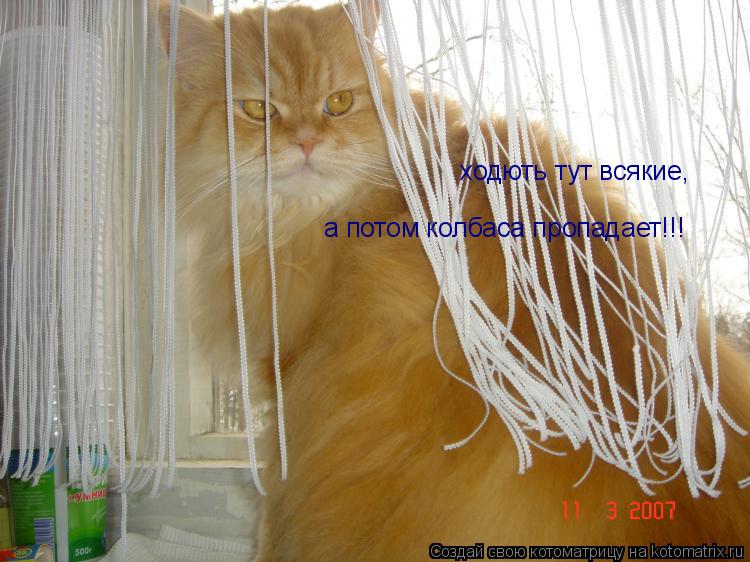 ходють тут всякие, а потом колбаса пропадает!!!... Котоматрица: ходють тут всякие, а потом колбаса пропадает!!!