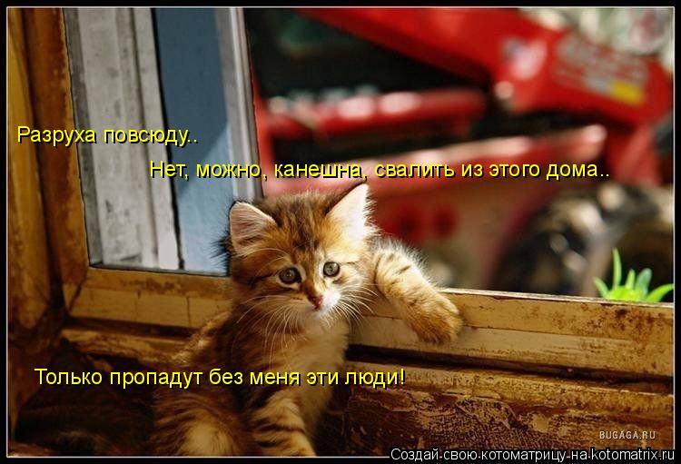 Нет, можно, канешна, свалить из этого дома.. Только пропадут без меня эти люди! Разруха повсюду..... Котоматрица: Нет, можно, канешна, свалить из этого дома.. Только пропадут без меня эти люди! Разруха повсюду..