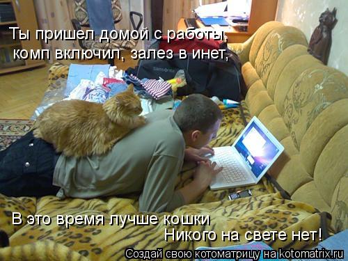 комп включил, залез в инет, В это время лучше кошки Никого на свете нет! Ты пришел домой с работы,... Котоматрица: комп включил, залез в инет, В это время лучше кошки Никого на свете нет! Ты пришел домой с работы,