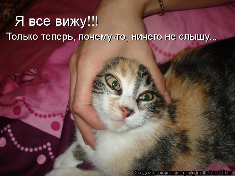 Я все вижу!!! Только теперь, почему-то, ничего не слышу...... Котоматрица: Я все вижу!!! Только теперь, почему-то, ничего не слышу...