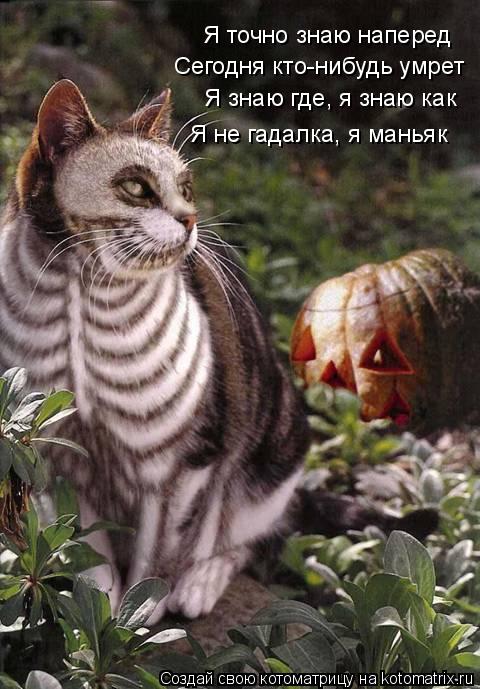 Я точно знаю наперед Сегодня кто-нибудь умрет Я знаю где, я знаю как Я не гадалка, я маньяк... Котоматрица: Я точно знаю наперед Сегодня кто-нибудь умрет Я знаю где, я знаю как Я не гадалка, я маньяк