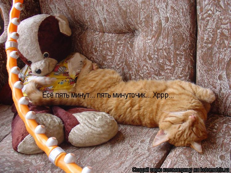 Есё пять минут... пять минуточик... Хррр...... Котоматрица: Есё пять минут... пять минуточик... Хррр...