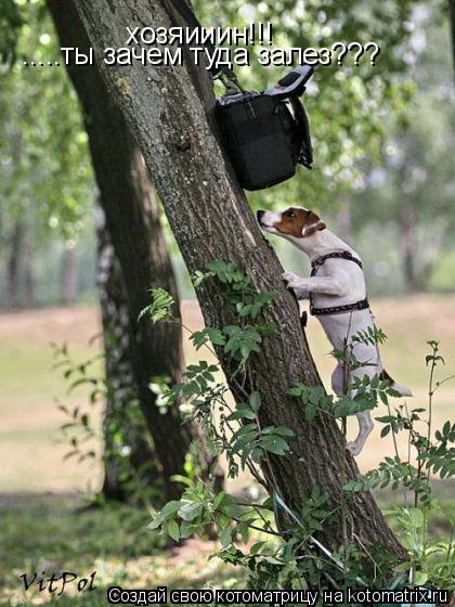 хозяииин!!! .....ты зачем туда залез???... Котоматрица: хозяииин!!! .....ты зачем туда залез???