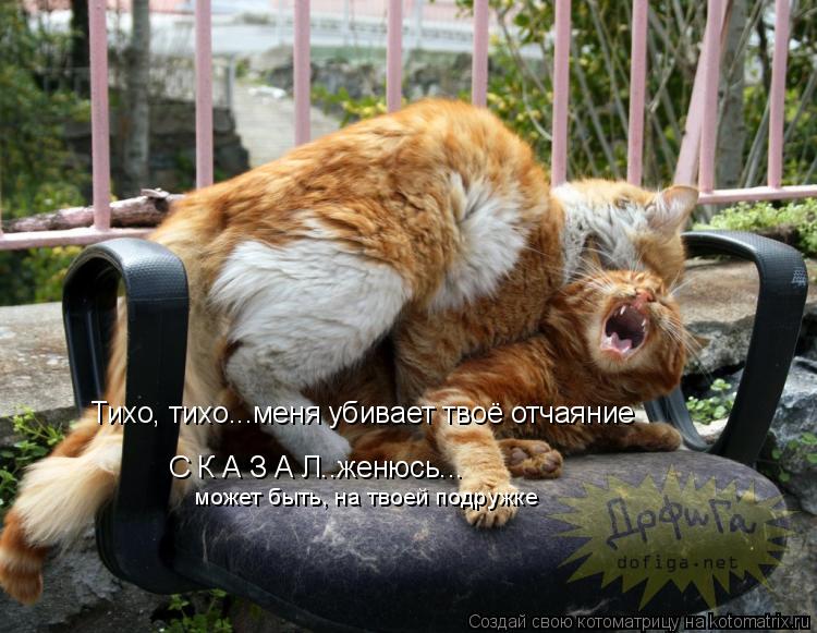 Тихо, тихо...меня убивает твоё отчаяние С К А З А Л..женюсь... может быть, на твоей подружке... Котоматрица: Тихо, тихо...меня убивает твоё отчаяние С К А З А Л..женюсь... может быть, на твоей подружке