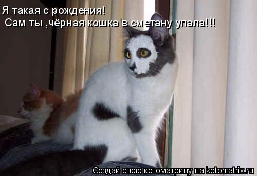 Я такая с рождения! Сам ты ,чёрная кошка в сметану упала!!!... Котоматрица: Я такая с рождения! Сам ты ,чёрная кошка в сметану упала!!!