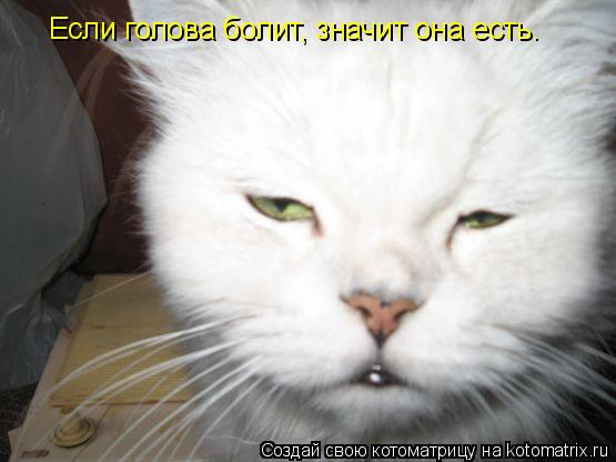Если голова болит, значит она есть.... Котоматрица: Если голова болит, значит она есть.