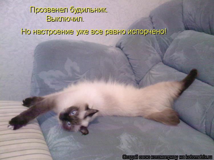 Прозвенел будильник. Выключил. Но настроение уже все равно испорчено!... Котоматрица: Прозвенел будильник. Выключил. Но настроение уже все равно испорчено!