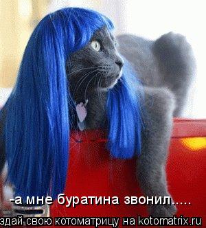 -а мне буратина звонил........ Котоматрица: -а мне буратина звонил.....