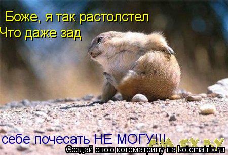 Боже, я так растолстел Что даже зад себе почесать НЕ МОГУ!!!... Котоматрица: Боже, я так растолстел Что даже зад себе почесать НЕ МОГУ!!!