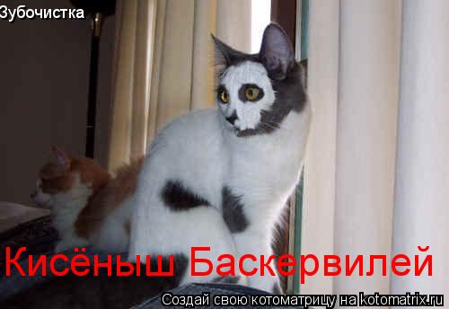 Зубочистка Кисёныш Баскервилей... Котоматрица: Зубочистка Кисёныш Баскервилей