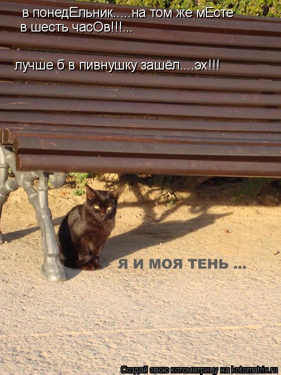 Котоматрица: в понедЕльник.....на том же мЕсте в шесть часОв!!!... лучше б в пивнушку зашёл....эх!!!