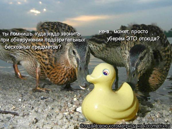 ты помнишь, куда надо звонить при обнаружении подозрительных бесхозных предметов? не-а.. может, прост... Котоматрица: ты помнишь, куда надо звонить при обнаружении подозрительных бесхозных предметов? не-а.. может, просто уберём ЭТО отсюда?