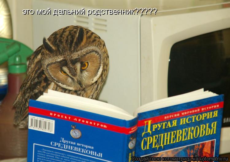 Котоматрица: это мой дальний родственник?????