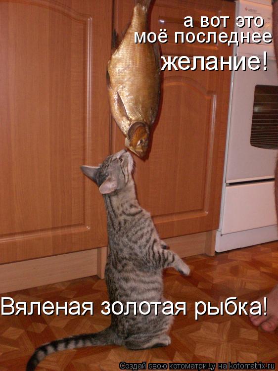 а вот это моё последнее желание! Вяленая золотая рыбка!... Котоматрица: а вот это моё последнее желание! Вяленая золотая рыбка!