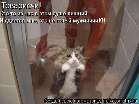 Товарисчи! Кто-то из нас в этом душе лишний И сдается мне, это не голый мужиииииК!!... Котоматрица: Товарисчи! Кто-то из нас в этом душе лишний И сдается мне, это не голый мужиииииК!!