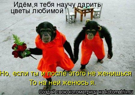 Идём,я тебя научу дарить цветы любимой Но, если ты и после этого не женишься То на ней женюсь я.... Котоматрица: Идём,я тебя научу дарить цветы любимой Но, если ты и после этого не женишься То на ней женюсь я.