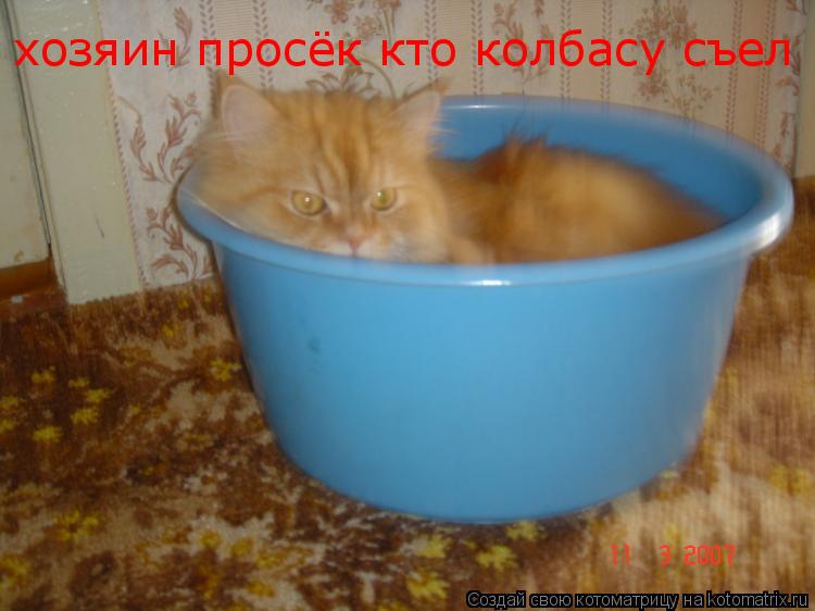 хозяин просёк кто колбасу съел... Котоматрица: хозяин просёк кто колбасу съел