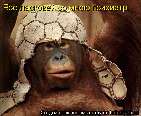 Всё ласковей со мною психиатр...... Котоматрица: Всё ласковей со мною психиатр...