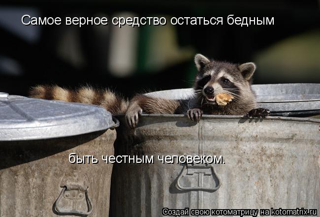 Самое верное средство остаться бедным быть честным человеком.... Котоматрица: Самое верное средство остаться бедным быть честным человеком.