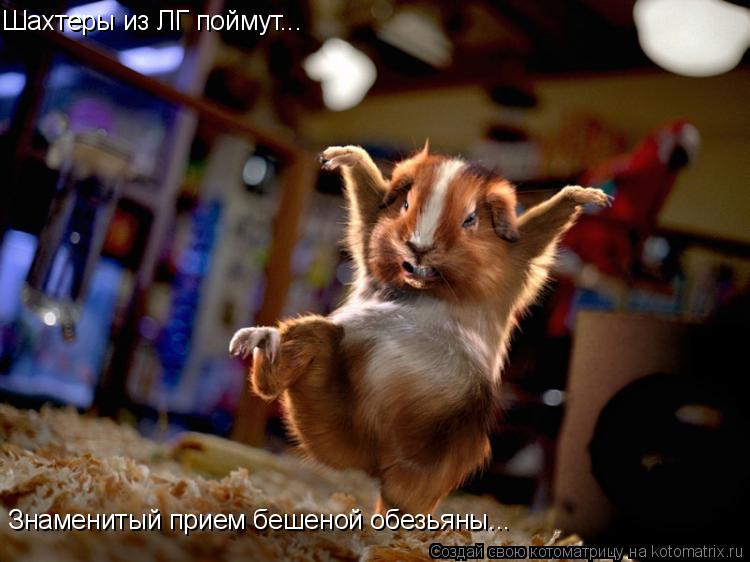 Знаменитый прием бешеной обезьяны... Шахтеры из ЛГ поймут...... Котоматрица: Знаменитый прием бешеной обезьяны... Шахтеры из ЛГ поймут...