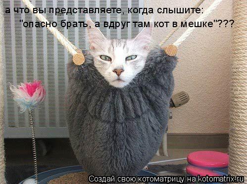 Котоматрица: а что вы представляете, когда слышите: "опасно брать, а вдруг там кот в мешке"???
