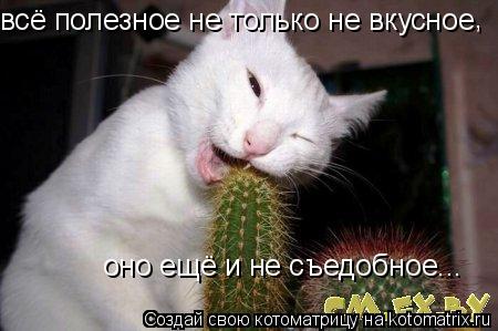 всё полезное не только не вкусное , оно ещё и не съедобное...... Котоматрица: всё полезное не только не вкусное , оно ещё и не съедобное...