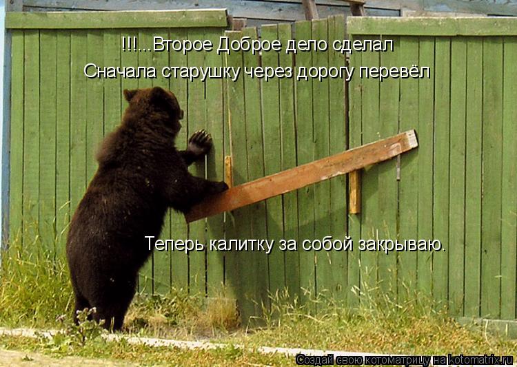 !!!...Второе Доброе дело сделал Сначала старушку через дорогу перевёл Теперь калитку за собой закрыва... Котоматрица: !!!...Второе Доброе дело сделал Сначала старушку через дорогу перевёл Теперь калитку за собой закрываю.