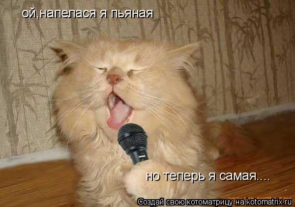 ой,напелася я пьяная но теперь я самая....... Котоматрица: ой,напелася я пьяная но теперь я самая....