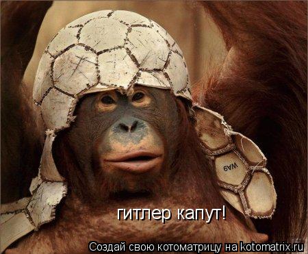 гитлер капут!... Котоматрица: гитлер капут!