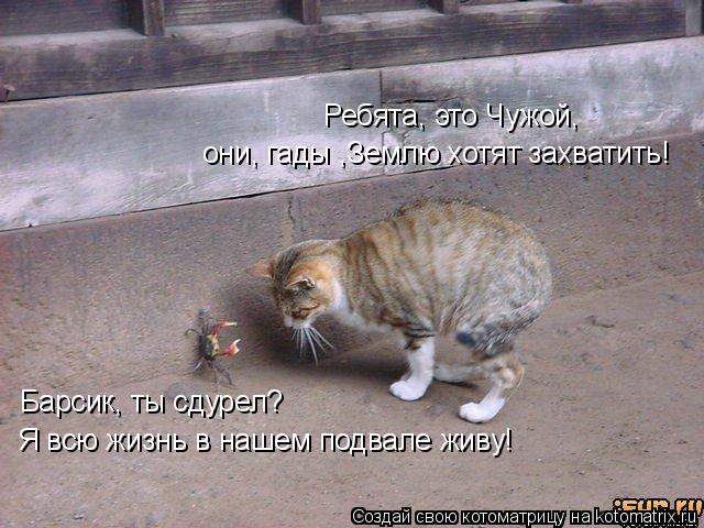 Ребята, это Чужой, они, гады ,Землю хотят захватить! Барсик, ты сдурел? Я всю жизнь в нашем подва... Котоматрица: Ребята, это Чужой, они, гады ,Землю хотят захватить! Барсик, ты сдурел? Я всю жизнь в нашем подвале живу!