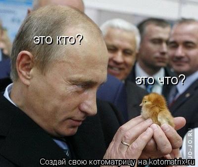 это кто? это что?... Котоматрица: это кто? это что?