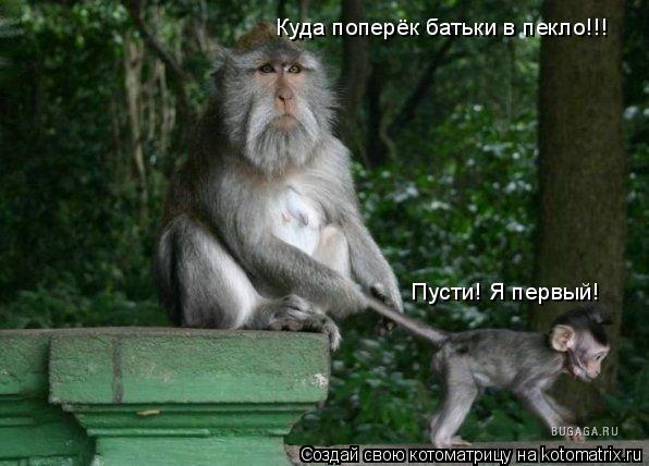 Куда поперёк батьки в пекло!!! Пусти! Я первый!... Котоматрица: Куда поперёк батьки в пекло!!! Пусти! Я первый!