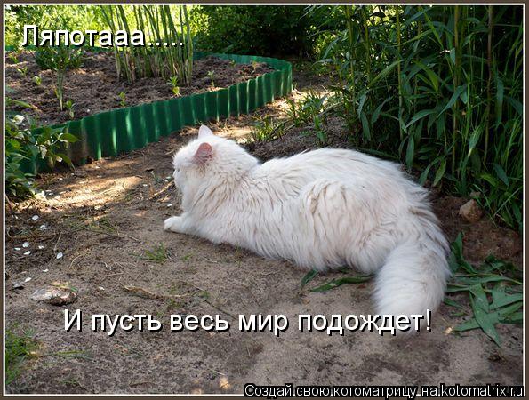 Ляпотааа..... И пусть весь мир подождет!... Котоматрица: Ляпотааа..... И пусть весь мир подождет!