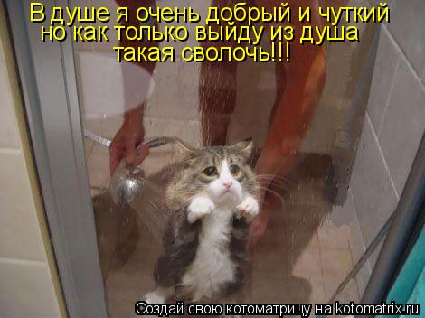 В душе я очень добрый и чуткий но как только выйду из душа такая сволочь!!!... Котоматрица: В душе я очень добрый и чуткий но как только выйду из душа такая сволочь!!!