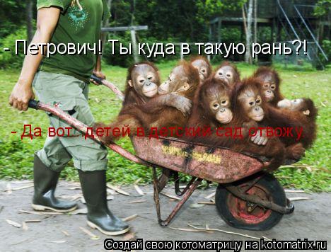 - Петрович! Ты куда в такую рань?! - Да вот...детей в детский сад отвожу...... Котоматрица: - Петрович! Ты куда в такую рань?! - Да вот...детей в детский сад отвожу...