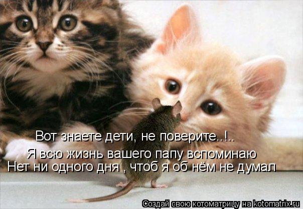 Вот знаете дети, не поверите..!.. Я всю жизнь вашего папу вспоминаю Нет ни одного дня , чтоб я об нём... Котоматрица: Вот знаете дети, не поверите..!.. Я всю жизнь вашего папу вспоминаю Нет ни одного дня , чтоб я об нём не думал