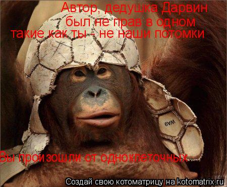 Автор, дедушка Дарвин был не прав в одном такие как ты - не наши потомки Вы произошли от одноклеточн... Котоматрица: Автор, дедушка Дарвин был не прав в одном такие как ты - не наши потомки Вы произошли от одноклеточных
