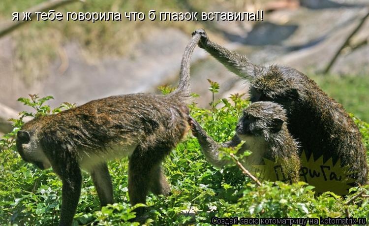 Котоматрица: я ж тебе говорила что б глазок вставила!!