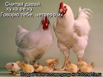 Считай давай. ку.ка.ре.ку. Говорю тебе, четверо их.... Котоматрица: Считай давай. ку.ка.ре.ку. Говорю тебе, четверо их.