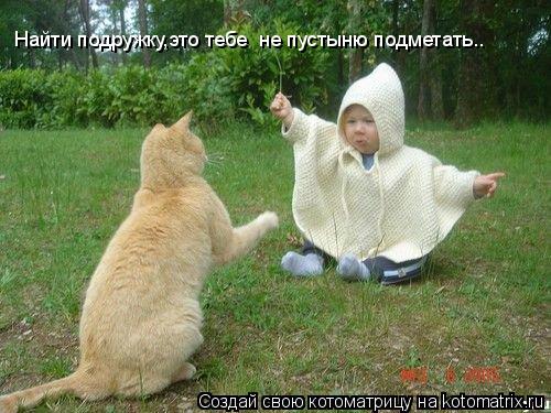 Найти подружку,это тебе не пустыню подметать..... Котоматрица: Найти подружку,это тебе не пустыню подметать..