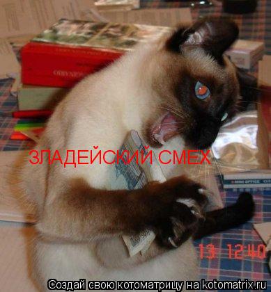 Котоматрица: ЗЛАДЕЙСКИЙ СМЕХ