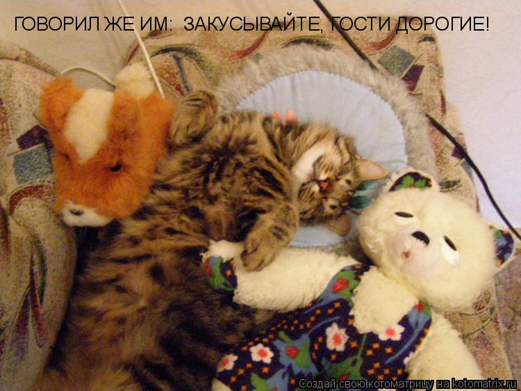 ГОВОРИЛ ЖЕ ИМ: ЗАКУСЫВАЙТЕ, ГОСТИ ДОРОГИЕ!... Котоматрица: ГОВОРИЛ ЖЕ ИМ: ЗАКУСЫВАЙТЕ, ГОСТИ ДОРОГИЕ!