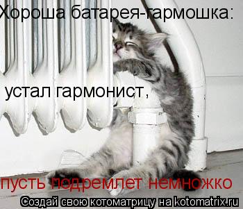 Хороша батарея-гармошка: устал гармонист , пусть подремлет немножко... Котоматрица: Хороша батарея-гармошка: устал гармонист , пусть подремлет немножко
