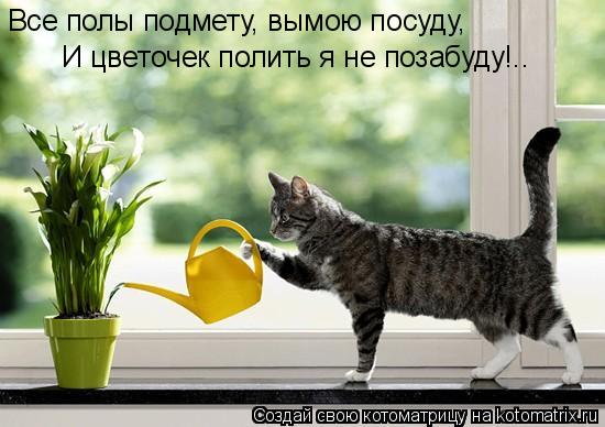 Все полы подмету, вымою посуду, И цветочек полить я не позабуду!..... Котоматрица: Все полы подмету, вымою посуду, И цветочек полить я не позабуду!..